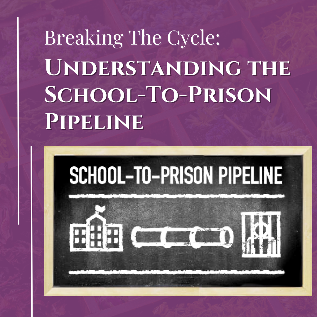 School to prison pipeline